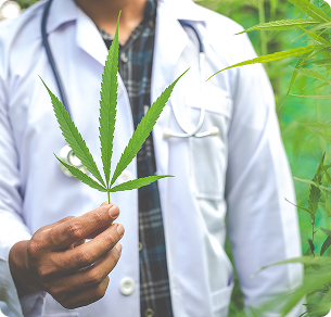 רופא מלווה קנאביס רפואי